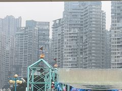 -海合安成都极地海洋公园