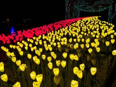 -长春公园(普阳街道)