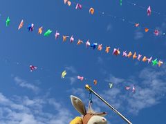 -叠溪松坪沟景区