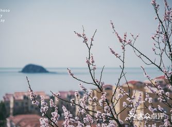 这个地方距离市区很近，春天踏青的好去处