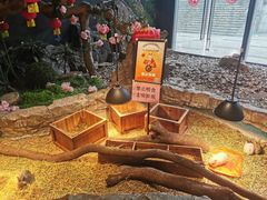 -绿色星球动物主题公园