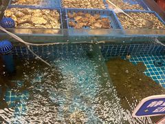 -双合园·海鲜水饺青岛菜(万佳广场店)