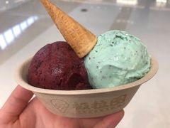 -极拉图·现制冰淇淋(梅溪湖新天地步步高店)