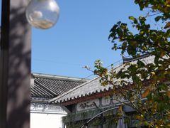 -阿鹏故事云南野生菌火锅(人民路店)