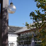 大理古城性价比超高的双人餐