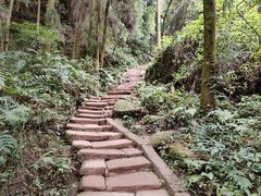 -青城山