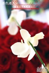 美雯苏宁卢浮宫-苏宁环球套房饭店·宴会厅