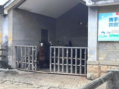 -昆明动物园