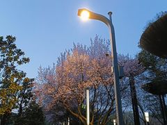 -城市运动公园(未央区)