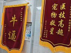 -美美宠物诊疗中心·异宠·骨科(滨江东信分院)