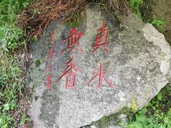 -王顺山国家森林公园