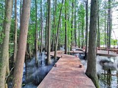 -东湖落雁景区
