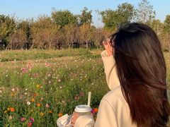 -瑶湖郊野森林公园