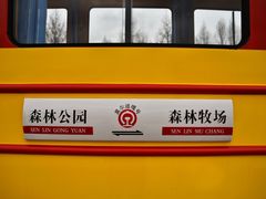 -莫尔道嘎国家森林公园
