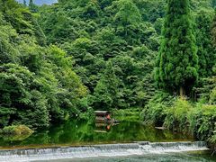 -龙苍沟森林公园