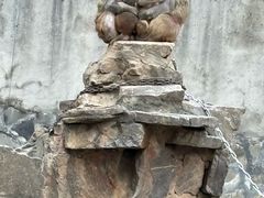 -太子山公园(园东路)