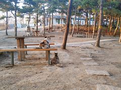 -鬼笑石后山停车场