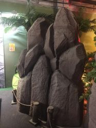 -恐龙探索乐园(磁器口店)