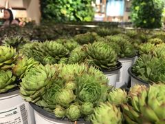 -鹿岛会员店 (龙湖三千集天街店)