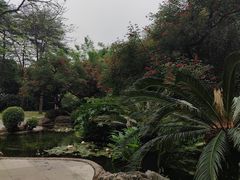 -晓港公园