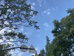 -上海市普陀区疾病预防控制中心