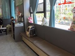 -半岛宠物医院24小时(西派城店)