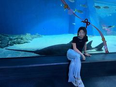 -暹罗海洋世界