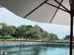 -天津湾西餐厅(三亚海棠湾洲际度假酒店)