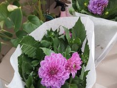 -洛雅艾思·生日蛋糕商务茶歇甜品台(北京店)