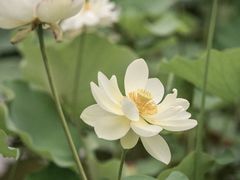 -木塔寺遗址生态公园