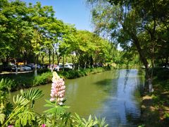 -昆山城市生态森林公园