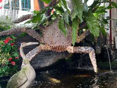 -無招牌海鮮(芽笼店)