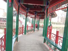 -西海子公园