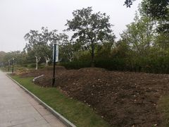 -黄兴公园