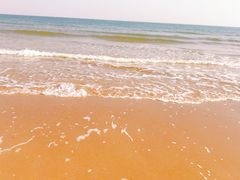 -日照海滨国家森林公园