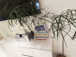 -安那般那皮肤年轻化ANAPANA