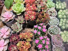 -三旗百汇商品城