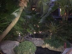 -汇雅温泉