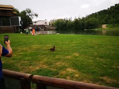 -渔岛海洋度假区