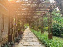 -中国科学院西双版纳热带植物园