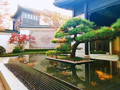 -凤凰御元艺术基地