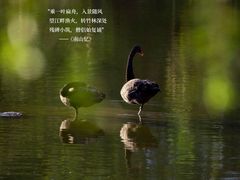 -厦门悦华酒店