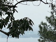-宝石山