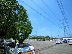 -光明驾校·学车·陪驾(川沙店)