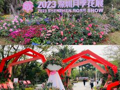 -人民公园(罗湖区)