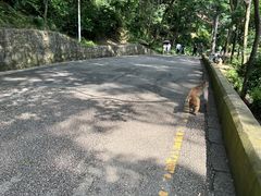 -黔灵山公园