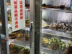 -学街秀兰麻辣烫(眉山分店)