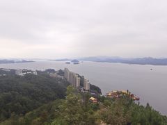 -浔味·山屿湖·正宗全鱼宴老字号