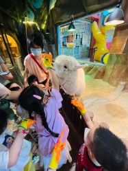 -宝燕乐园(闵行旗舰店)