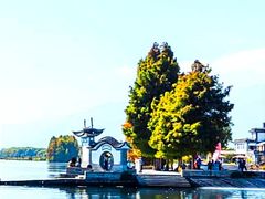 -洱海月湿地公园